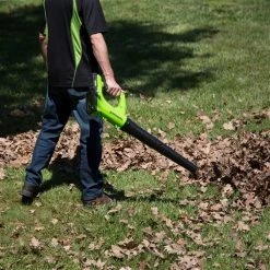 Greenworks Axial Cordless Leaf Blower - 24-Volt - 530 CFM - Tool Only -Family House Tools Store 330766344 AlternateImage3 l