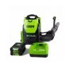Greenworks Cordless Backpack Leaf Blower with Lithium-Ion Battery and Charger - 80-Volt - 580 CFM - 145-mph
