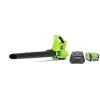 Greenworks Cordless Leaf Blower/Vacuum with Lithium-Ion Battery - 40-Volt - 340 CFM