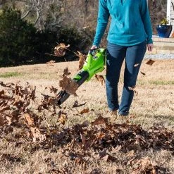 Greenworks 110-mph 40-Volt Lithium-Ion 390 CFM Handheld Cordless Electric Leaf Blower (Battery and Charger Included) 6 Greenworks 110-mph 40-Volt Lithium-Ion 390 CFM Handheld Cordless Electric Leaf Blower (Battery and Charger Included) -Family House Tools Store 330968612 AlternateImage2 l