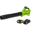 Greenworks 110-mph 40-Volt Lithium-Ion 390 CFM Handheld Cordless Electric Leaf Blower (Battery and Charger Included)